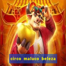 circo maluco beleza recife circo maluco